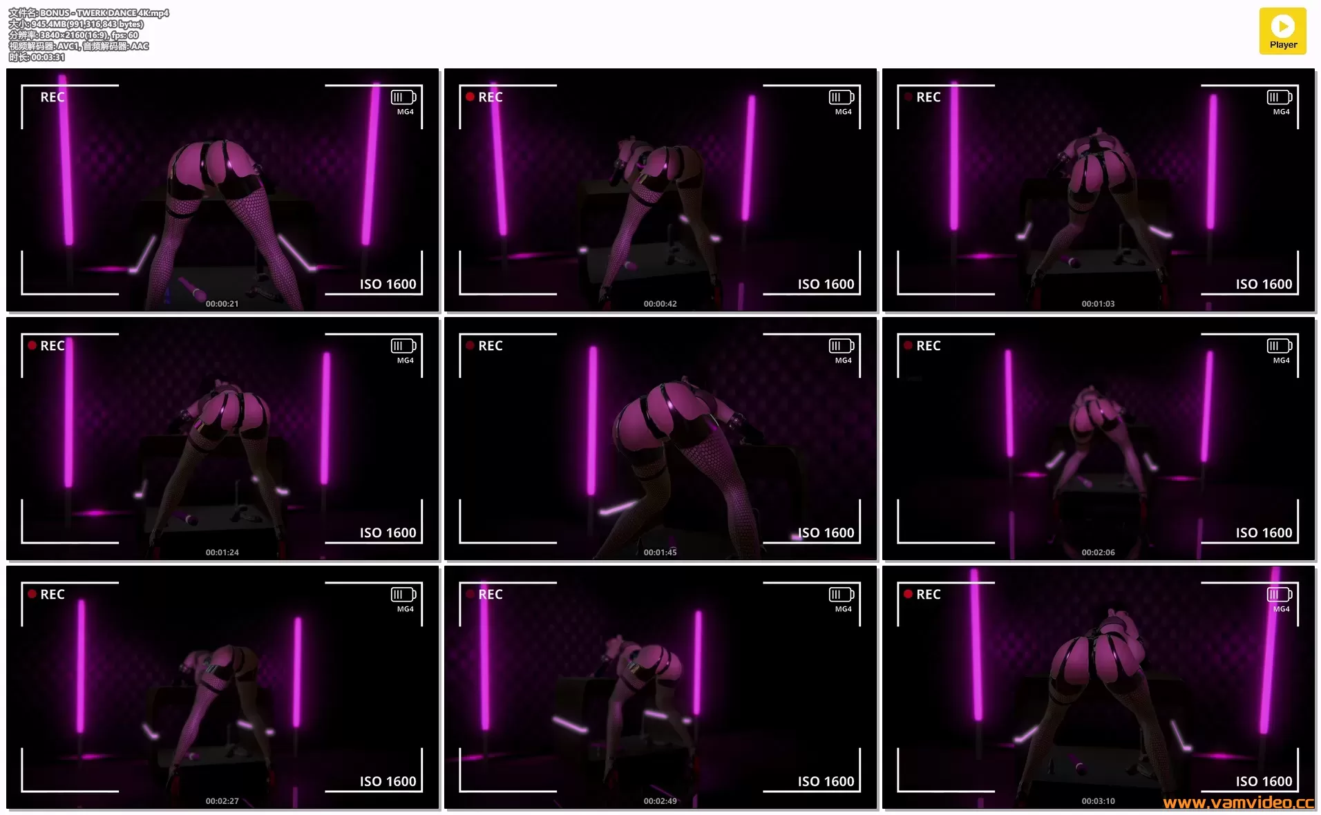 BONUS - TWERK DANCE 4K.mp4