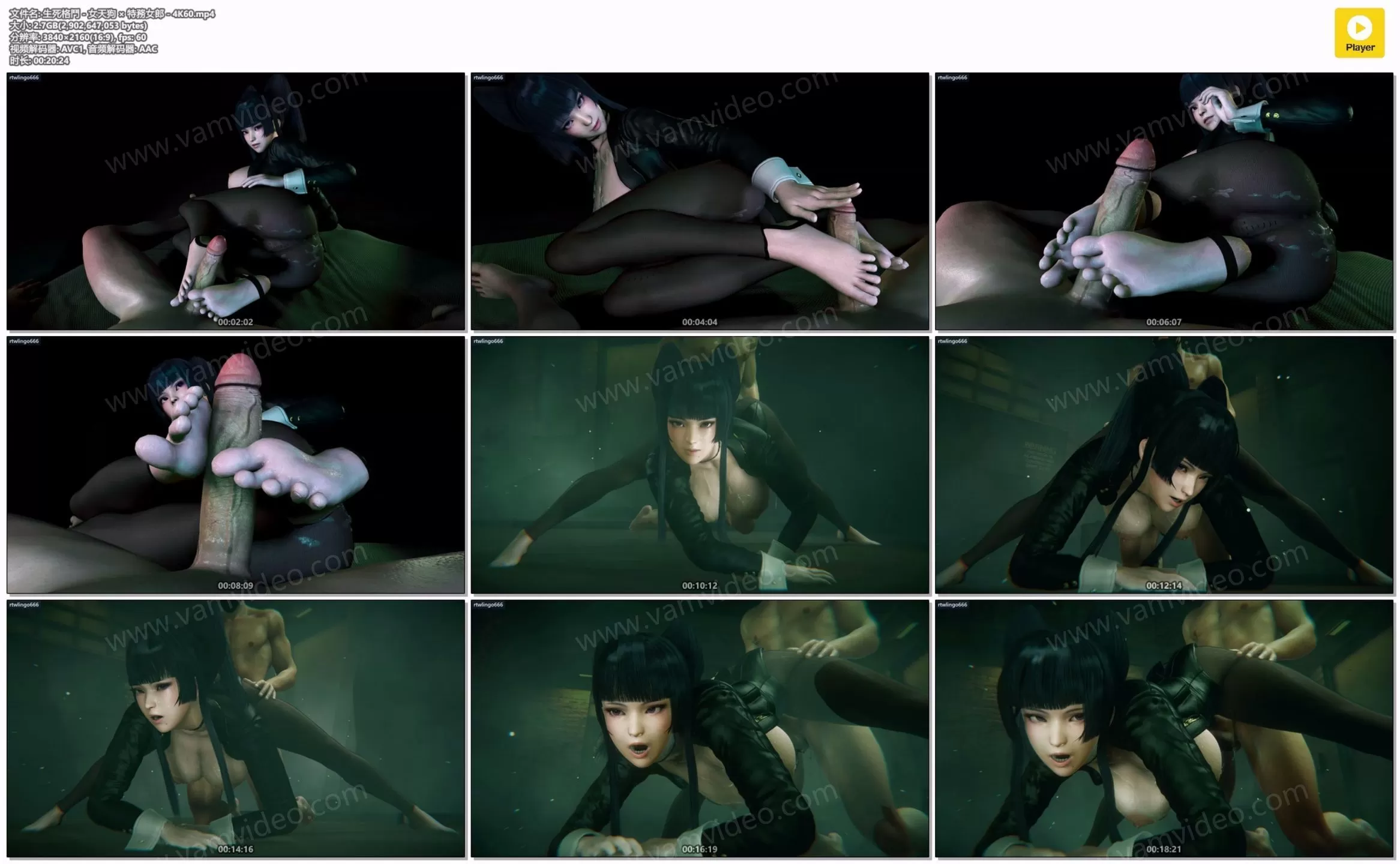 vam视频 vamvideo 生死格鬥 - 女天狗 × 特務女郎 - 4K60.mp4