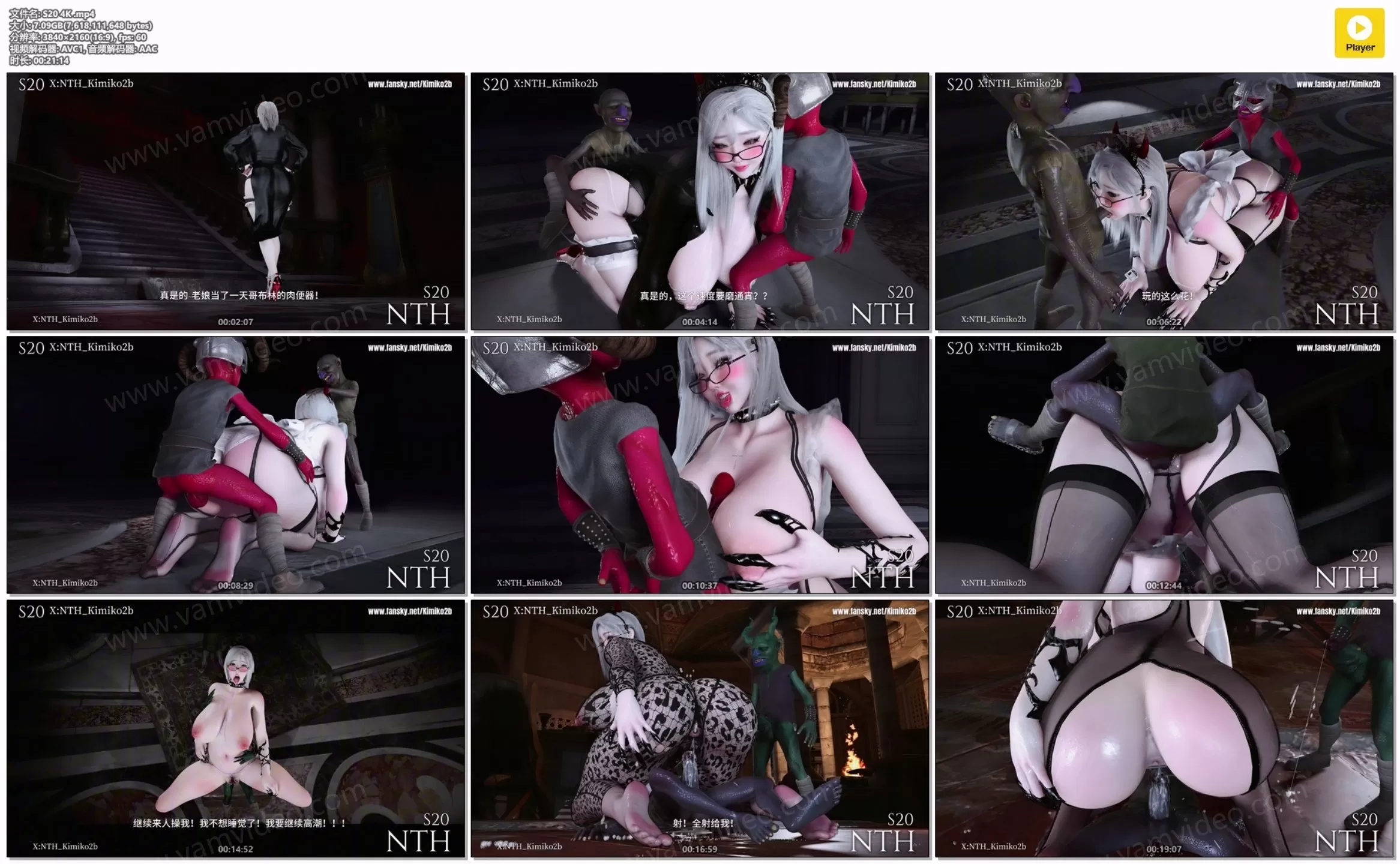 vam视频 vamvideo S20 4K .mp4