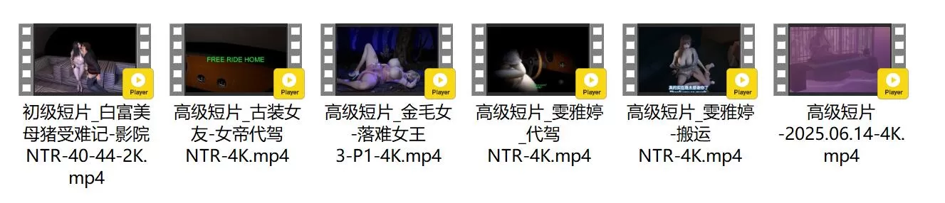 预览